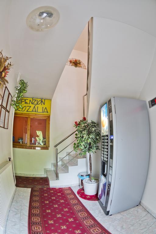 Penzion Rozalia Otel Kösice Dış mekan fotoğraf